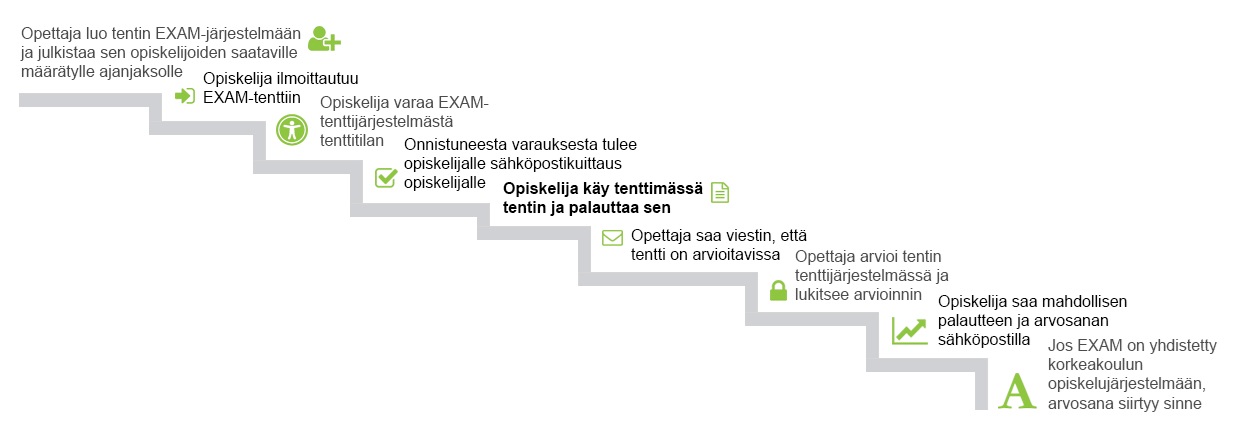 Exam-prosessin kuvaus vaihevaiheelta. 
