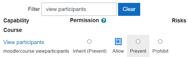 Screenshot about the Permissons view where the View participants option is changed to "Allow".